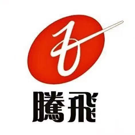 腾飞